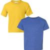 Gildan Youth DryBlend T-Shirt, Style G8000B, 2-Pack(Daisy-hthr Sport Royal)