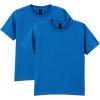 Gildan Youth DryBlend T-Shirt, Style G8000B, 2-Pack(Royal)