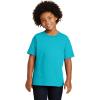 Gildan Youth Heavy Cotton T-Shirt, Style G5000B, 2-Pack(Galapagos Blue)