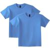 Gildan Youth Ultra Cotton T-Shirt, Style G2000B, Multipack(Carolina Blue (2-pack))