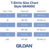 Gildan Adult Softstyle Cotton T-Shirt, Style G64000, Multipack(Ice Grey)