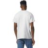 Gildan Adult DryBlend T-Shirt, Style G8000, Multipack,(Ash Grey)