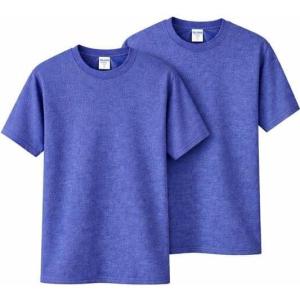 Gildan Adult DryBlend T-Shirt, Style G8000, Multipack,(Heather Deep Royal)