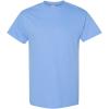 Gildan Mens G200((1) Black + (1) Carolina Blue)