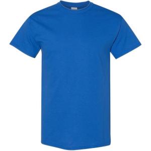 Gildan Mens G200((1) Royal + (1) Berry)