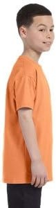 image:imageGildan Youth 53 Oz TShirt Style G500B Original LabelOld Gold