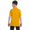 Gildan Youth 53 Oz T-Shirt – Style # G500B Original Label(Gold)