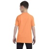 Gildan Youth 53 Oz T-Shirt – Style # G500B Original Label(Old Gold)