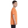 Gildan Youth 53 Oz T-Shirt – Style # G500B Original Label(Old Gold)