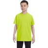 Safety Green