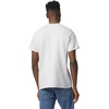 Gildan Unisex-Adult DryBlend T-Shirt, Style G8000, Multipack(Ash Grey (2-pack))