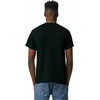 Gildan Unisex-Adult DryBlend T-Shirt, Style G8000, Multipack(Black (2-pack))