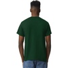 Gildan Unisex-Adult DryBlend T-Shirt, Style G8000, Multipack(Forest Green (2-pack))