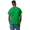 Gildan Unisex-Adult DryBlend T-Shirt, Style G8000, Multipack(Irish Green (2-pack))