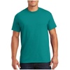 Gildan Unisex-Adult DryBlend T-Shirt, Style G8000, Multipack(Jade Dome)