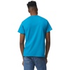 Gildan Unisex-Adult DryBlend T-Shirt, Style G8000, Multipack(Sapphire (2-pack))
