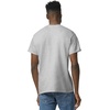 Gildan Unisex-Adult DryBlend T-Shirt, Style G8000, Multipack(Sport Grey (2-pack))