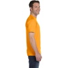 Gildan Men’s Short Sleeve 4-Pack Polyester Performance T-Shirt X(Tennessee Orange)