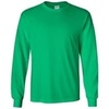 (Irish
