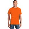 Osha Orange