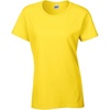 X-large daisy